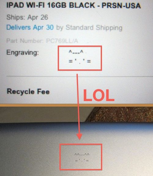 Four-eared-cat-ipad-engraving-error