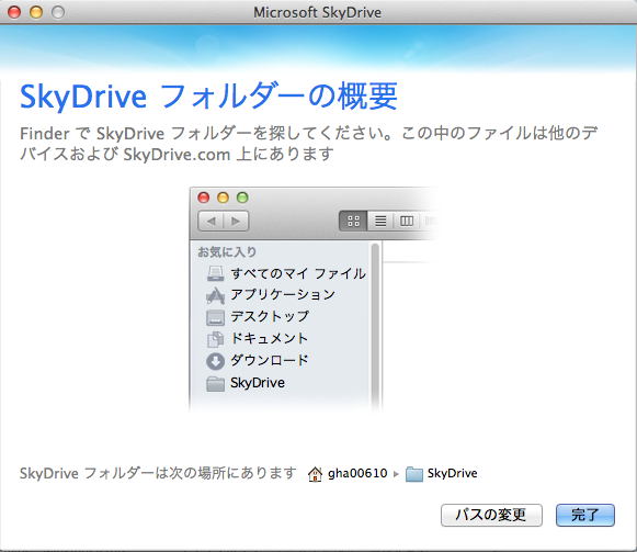 Microsoft SkyDrive-1